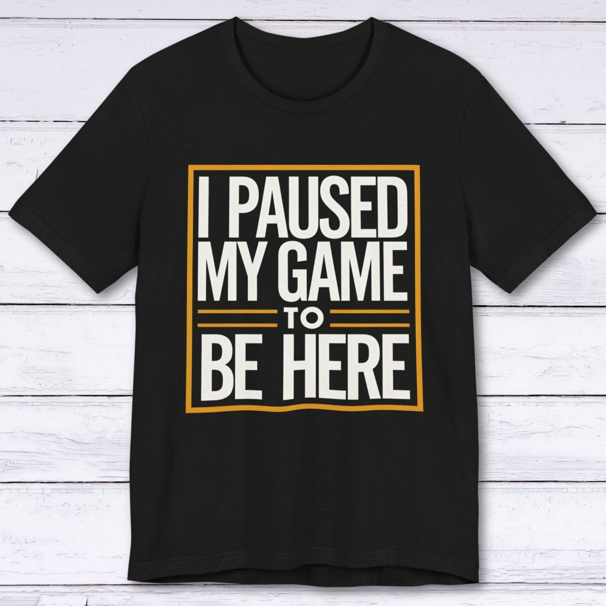 T-Shirt Black / S Paused My Fun for This Side Quest T-shirt
