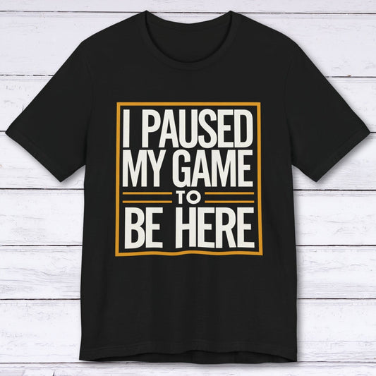 T-Shirt Black / S Paused My Fun for This Side Quest T-shirt