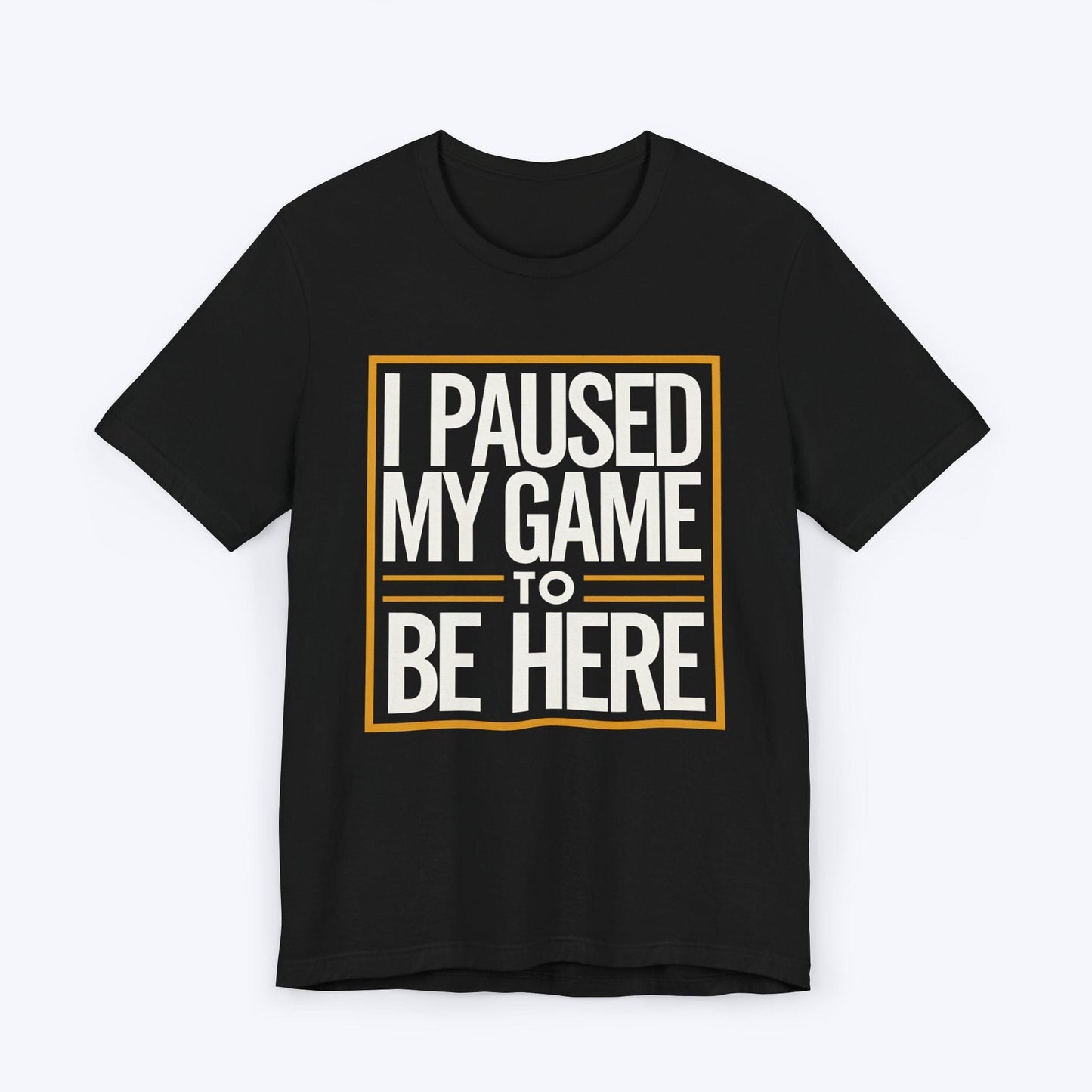 T-Shirt Black / S Paused My Fun for This Side Quest T-shirt