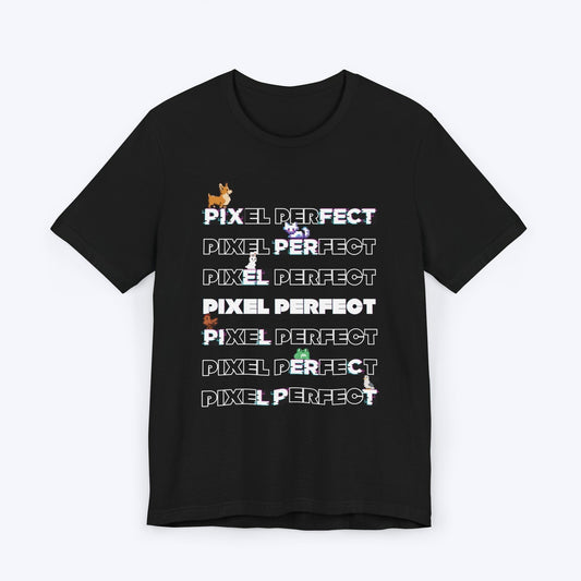 T-Shirt Black / S Pixel Perfect Gamer T-shirt
